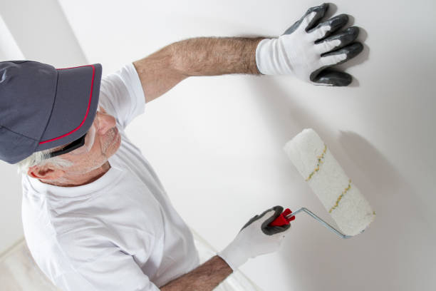 Best Mold Odor Removal Services  in Denver, IA
