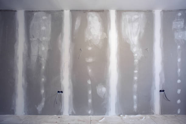 Best Real Estate Mold Inspection  in Denver, IA